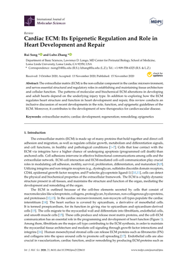 Cardiac ECM: Its Epigenetic Regulation and Role in Heart Development and Repair