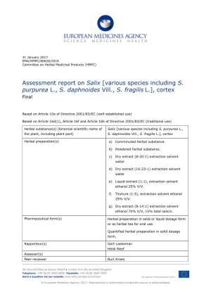Assessment Report on Salix [Various Species Including S