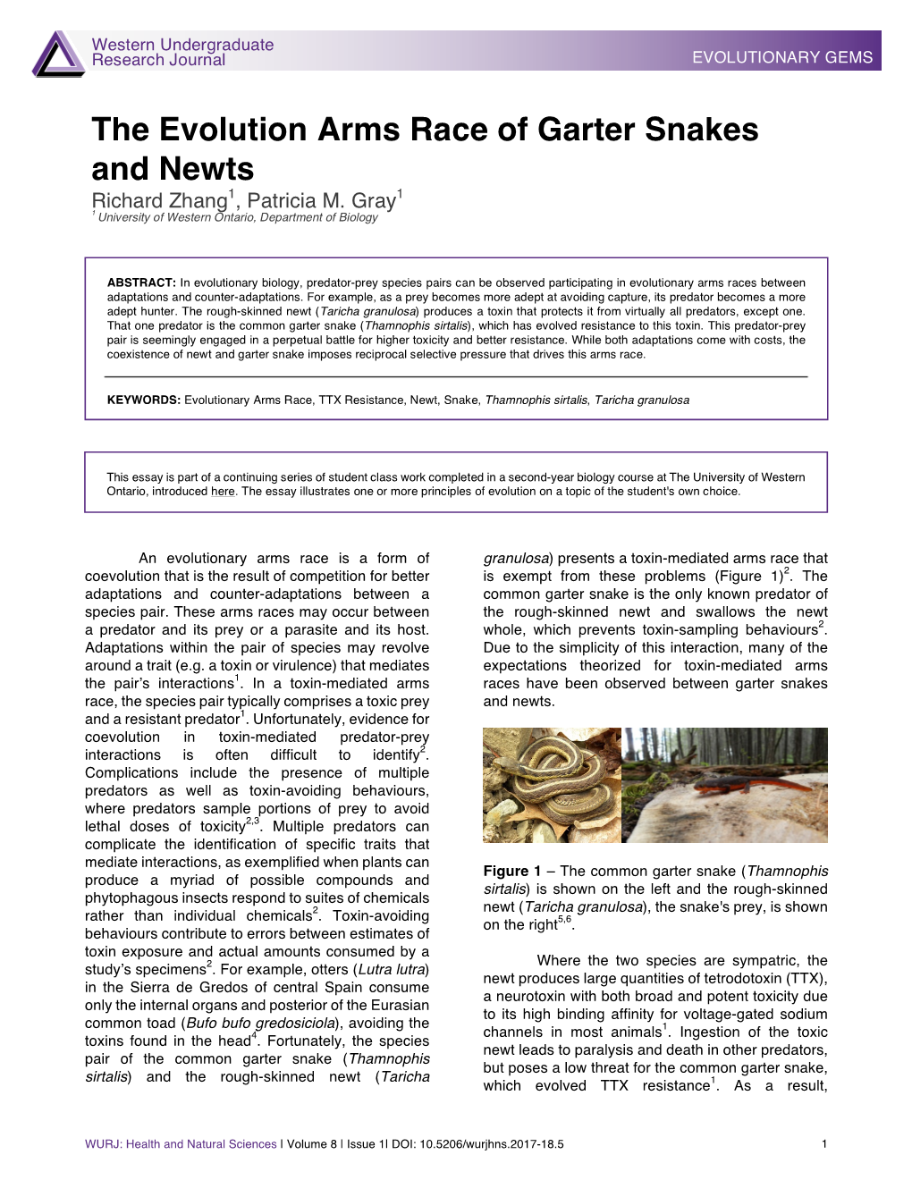 The Evolutionary Arms Race Of Garter Snakes And Newts - DocsLib