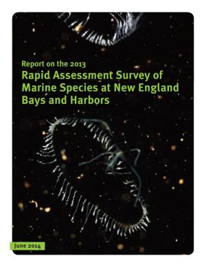 Rapid Assessment Survey of Marine Species at New England Bays and Harbors