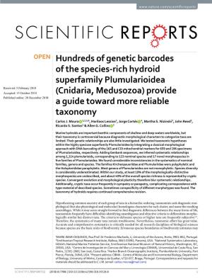 Hundreds of Genetic Barcodes of the Species-Rich Hydroid Superfamily Plumularioidea (Cnidaria, Medusozoa) Provide a Guide Toward