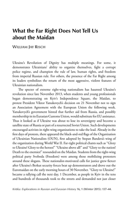 Articles What the Far Right Does Not Tell Us About the Maidan