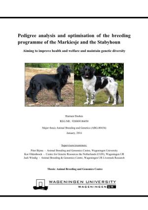 Pedigree Analysis and Optimisation of the Breeding Programme of the Markiesje and the Stabyhoun
