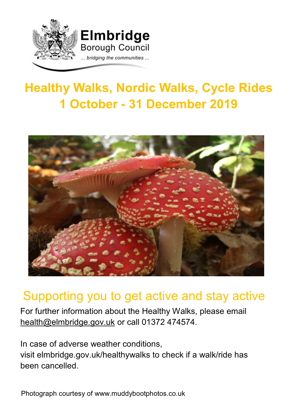 Healthy Walks, Nordic Walks, Cycle Rides 1 October - 31 December 2019