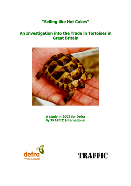 An Investigation Into the Trade in Tortoises in Great Britain