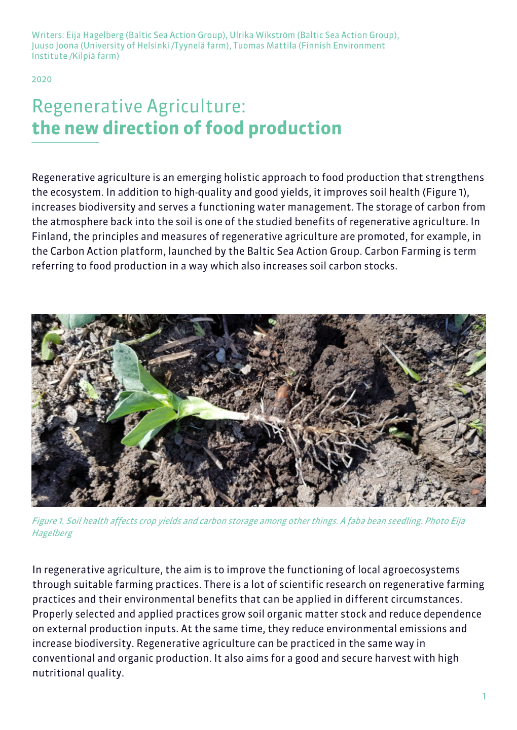 Regenerative Agriculture: the New Direction of Food Production