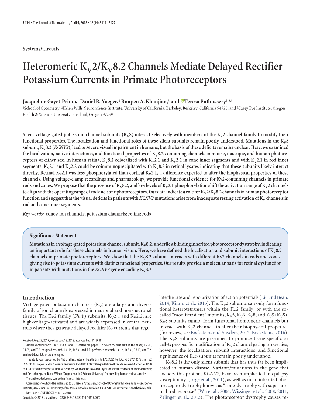 Heteromeric KV2/KV8.2 Channels Mediate Delayed Rectifier Potassium Currents in Primate Photoreceptors