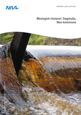 Økologisk Tilstand Sagstuåa, Rapport LNR. 6219-2011