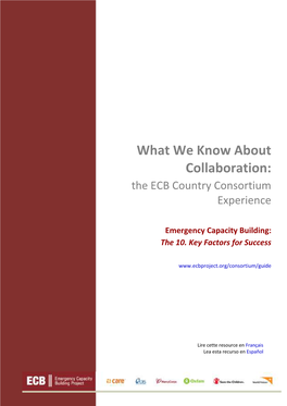 What We Know About Collaboration: the ECB Country Consortium Experience