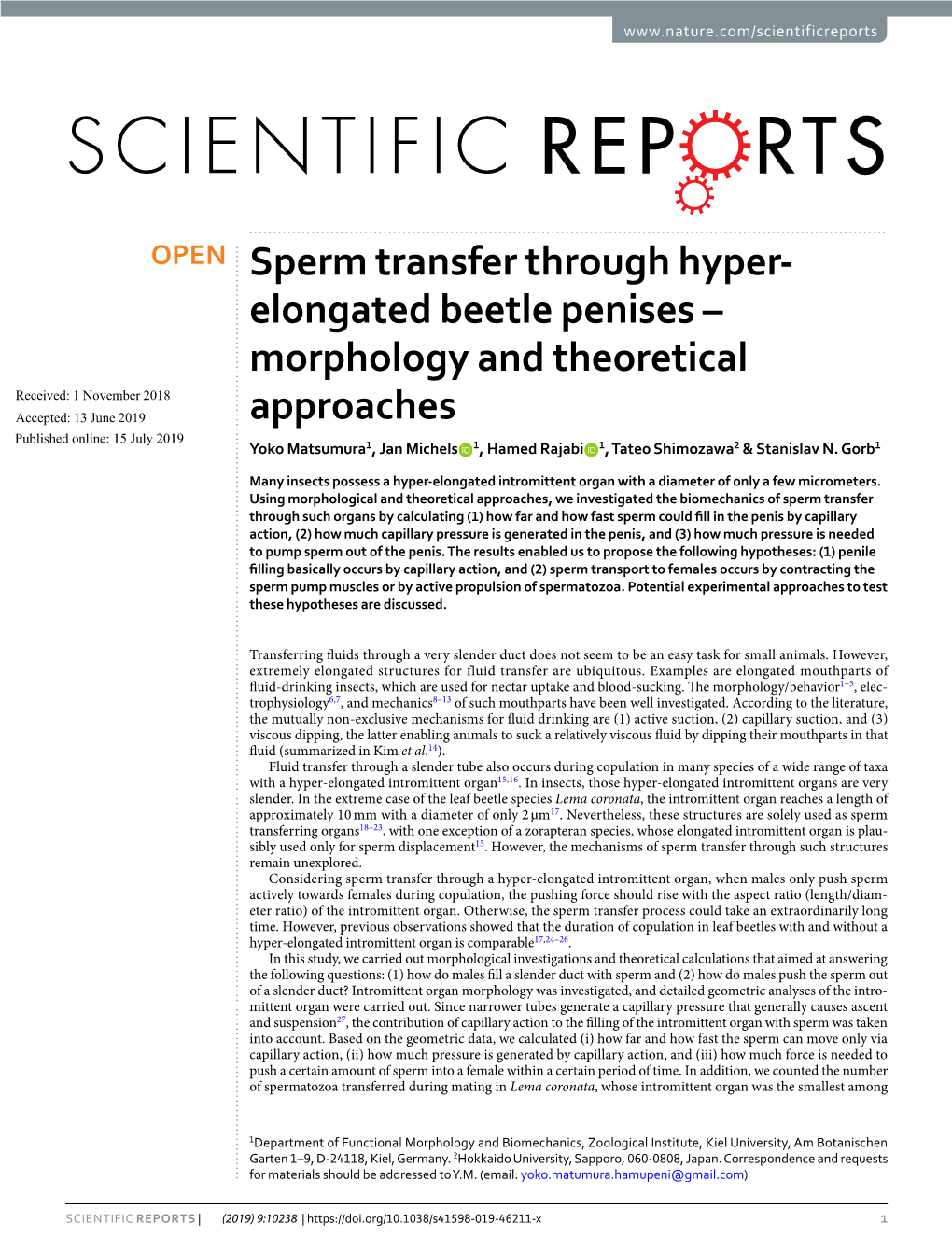 Sperm Transfer Through Hyper-Elongated Beetle