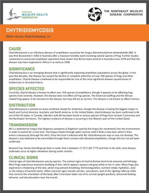 CHYTRIDIOMYCOSIS Other Names: Chytrid Disease, Bd