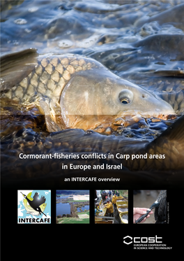 Cormorant-Fisheries Conflicts at Carp Ponds in Europe and Israel