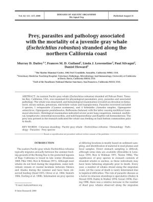 Prey, Parasites and Pathology Associated with the Mortality of a Juvenile Gray Whale (Eschrichtius Robustus) Stranded Along the Northern California Coast