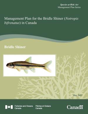 Management Plan for the Bridle Shiner (Notropis Bifrenatus) in Canada