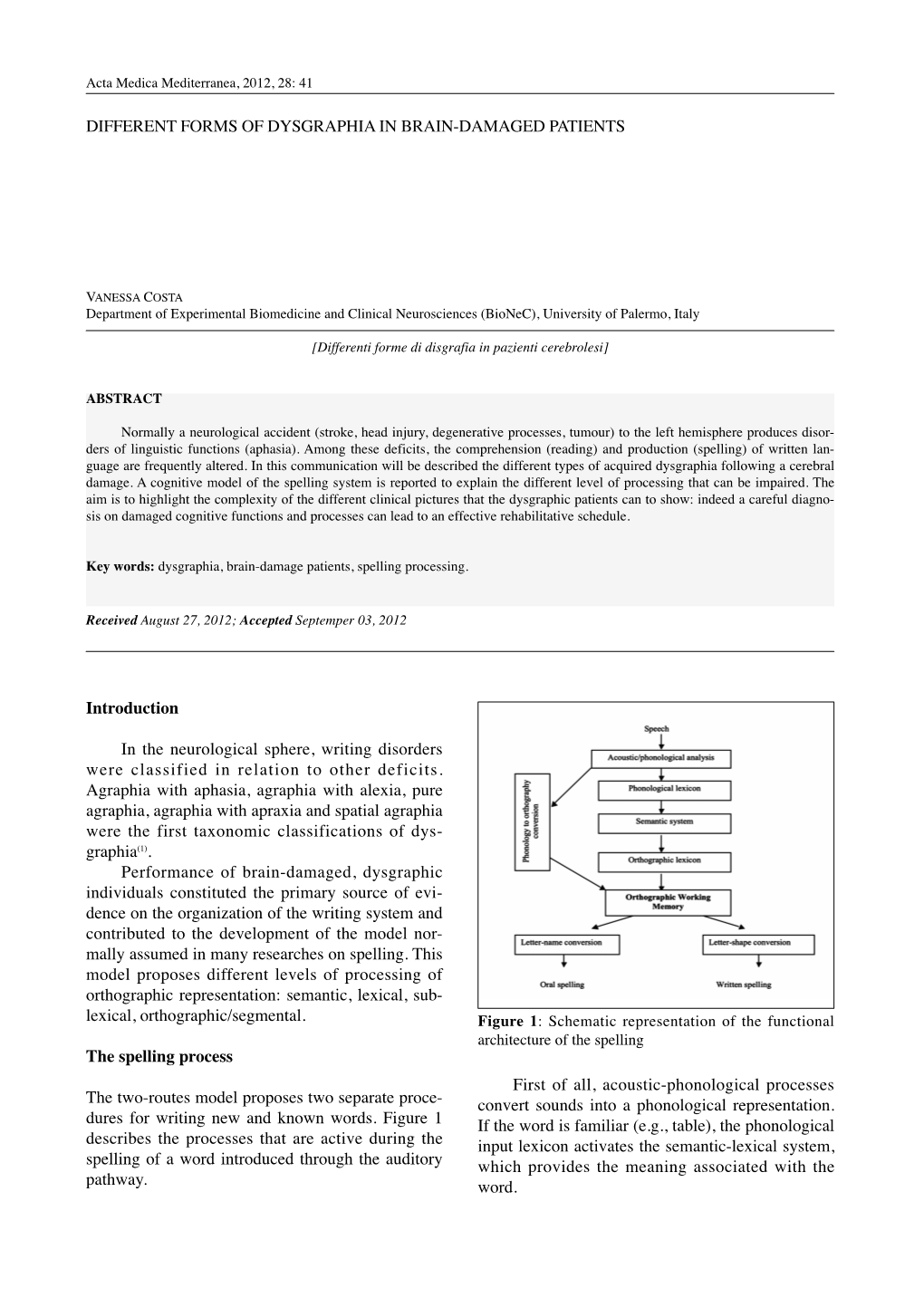 Different Forms of Dysgraphia in Brain-Damaged Patients