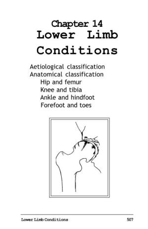 Chapter 14 Lower Limb Conditions