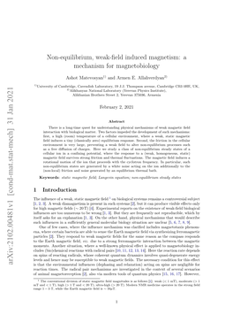 Non-Equilibrium, Weak-Field Induced Magnetism: a Mechanism For