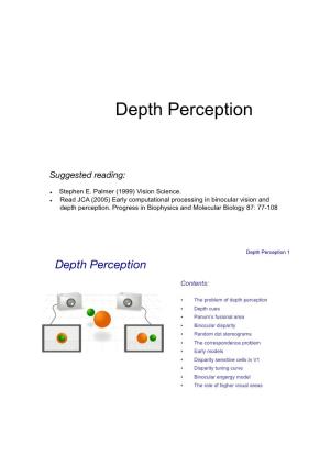 Depth Perception 0