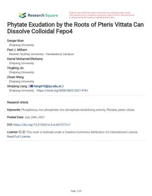 Phytate Exudation by the Roots of Pteris Vittata Can Dissolve Colloidal Fepo4