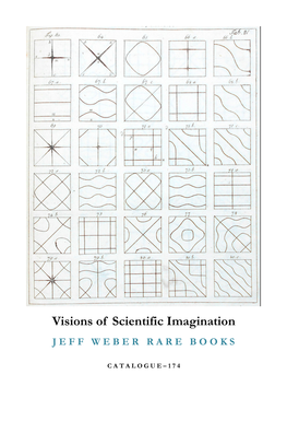 Visions of Scientific Imagination