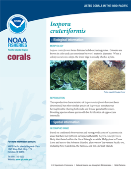 Coral Species Report for Isopora Crateriformis