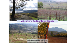 Lake County Soils