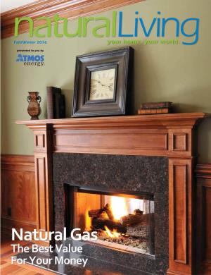 Natural Gas the Best Value for Your Money 08 INSIDE FEATURE 08 A Great Deal Natural Gas Offers a Superior Energy Value Proposition