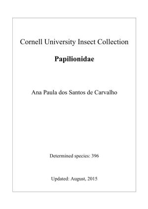 Cornell University Insect Collection Papilionidae
