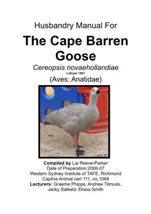 Cape Barren Goose (Cereopsis Novaehollandiae) Falls Under the Low Risk Category (Innocuous)