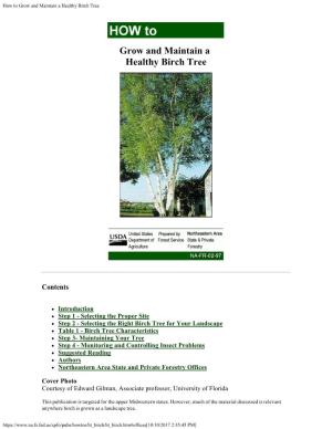 How to Grow and Maintain a Healthy Birch Tree