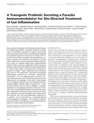 A Transgenic Probiotic Secreting a Parasite Immunomodulator for Site-Directed Treatment of Gut Inflammation