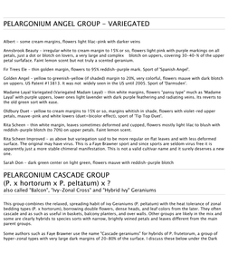 Pelargonium Angel Group - Variegated