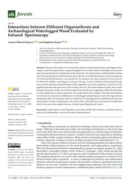 Interactions Between Different Organosilicons and Archaeological Waterlogged Wood Evaluated by Infrared Spectroscopy