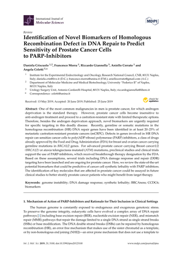 Identification of Novel Biomarkers of Homologous Recombination Defect