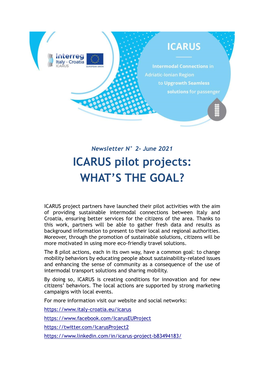 ICARUS Pilot Projects: WHAT's the GOAL?