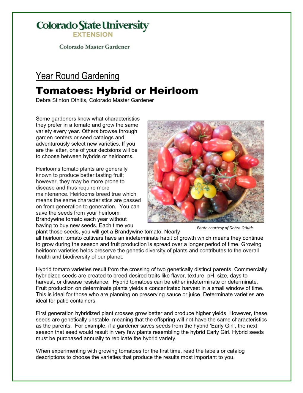 Year Round Gardening Tomatoes: Hybrid Or Heirloom Debra Stinton Othitis, Colorado Master Gardener