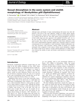 Sexual Dimorphism in the Sonic System and Otolith Morphology of Neobythites Gilli (Ophidiiformes) E