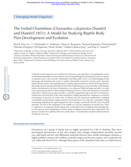 The Veiled Chameleon (Chamaeleo Calyptratus Duméril and Duméril 1851): a Model for Studying Reptile Body Plan Development and Evolution