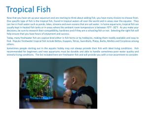 Tropical Fish Now That You Have Set up Your Aquarium and Are Starting to Think About Adding Fish, You Have Many Choices to Choose From