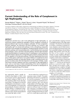Current Understanding of the Role of Complement in Iga Nephropathy