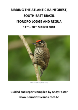 Birding the Atlantic Rainforest, South-East Brazil Itororo Lodge and Regua 11Th – 20Th March 2018