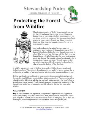 Protecting the Forest from Wildfire