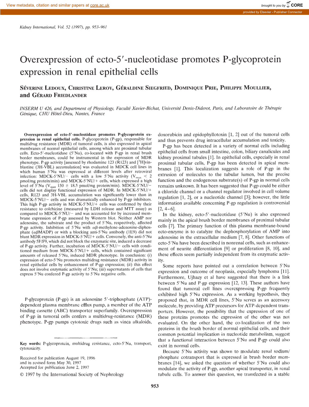 Overexpression of Ecto-5′-Nucleotidase Promotes P