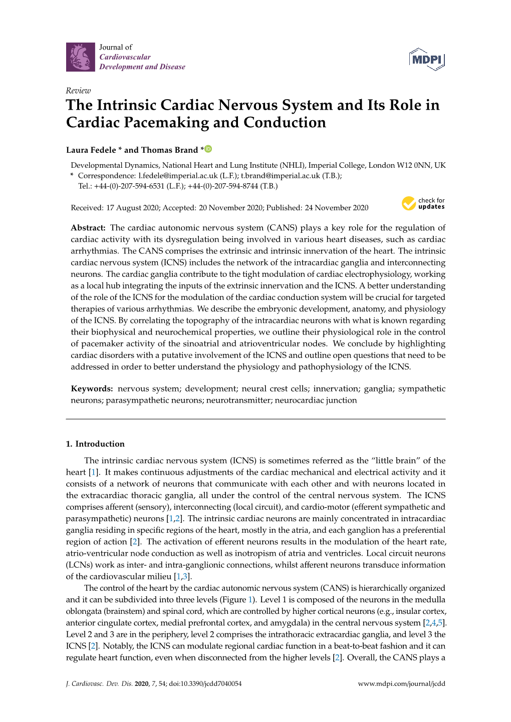 The Intrinsic Cardiac Nervous System and Its Role in Cardiac Pacemaking and Conduction