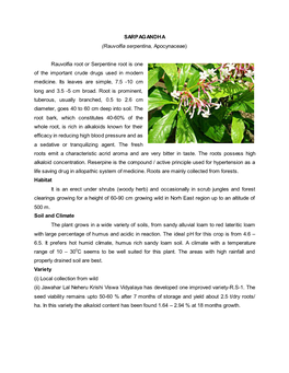 SARPAGANDHA (Rauvolfia Serpentina, Apocynaceae