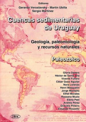 Cuencas Sedimentarias De Uruguay: Geología, Paleontología Y Recursos Naturales