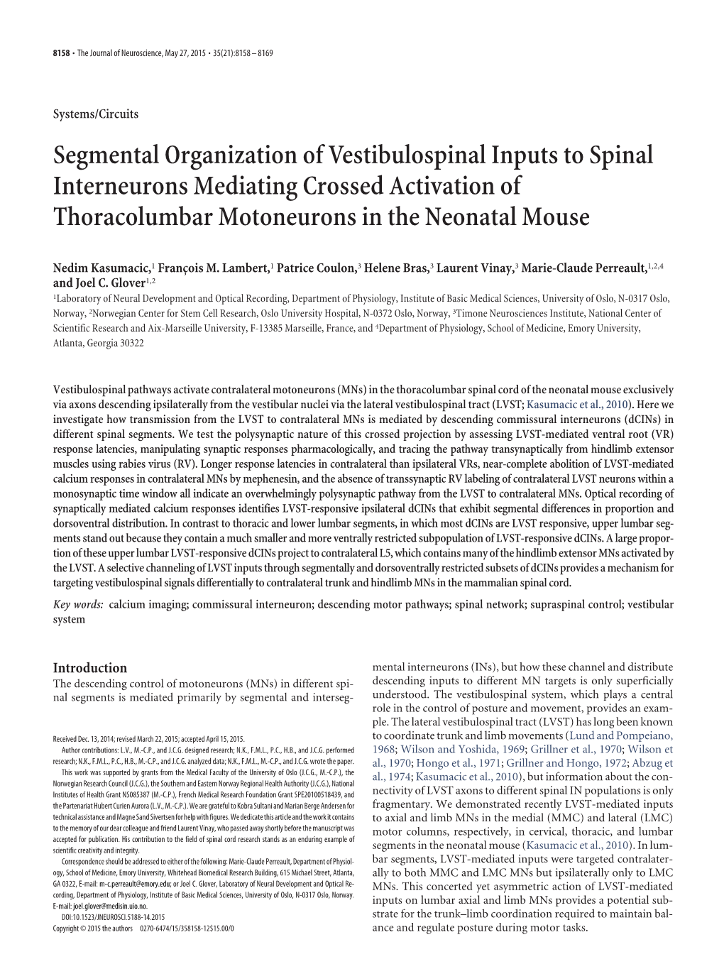 Segmental Organization of Vestibulospinal Inputs to Spinal Interneurons Mediating Crossed Activation of Thoracolumbar Motoneurons in the Neonatal Mouse