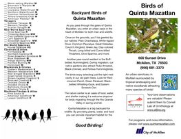Download Quinta Mazatlan Bird Checklist
