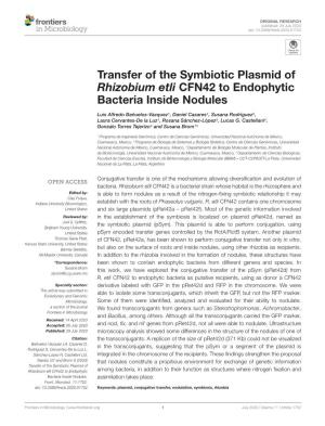 Transfer of the Symbiotic Plasmid of Rhizobium Etli CFN42 to Endophytic Bacteria Inside Nodules