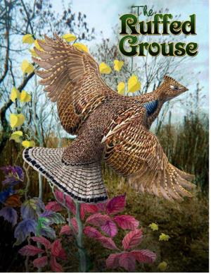 Ruffed Grouse of New York State- Conservationist